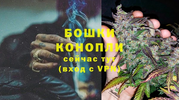 сатива Арсеньев